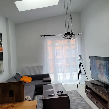 Apartment W Starym Mlynie Loft Rozanka