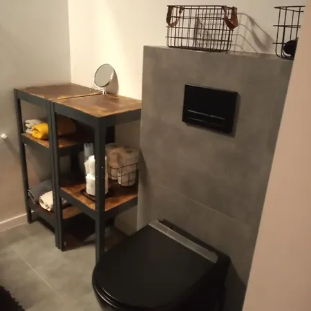 아파트 W Starym Mlynie Loft Rozanka