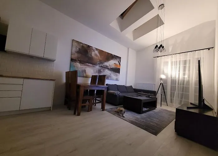 W Starym Mlynie Loft Różanka Apartamento
