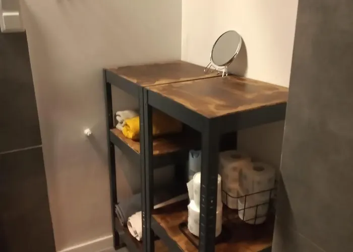 W Starym Mlynie Loft Różanka