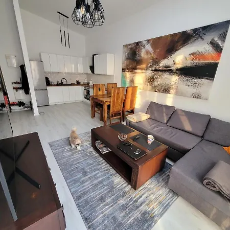 شقة W Starym Mlynie Loft Rozanka فروتسواف