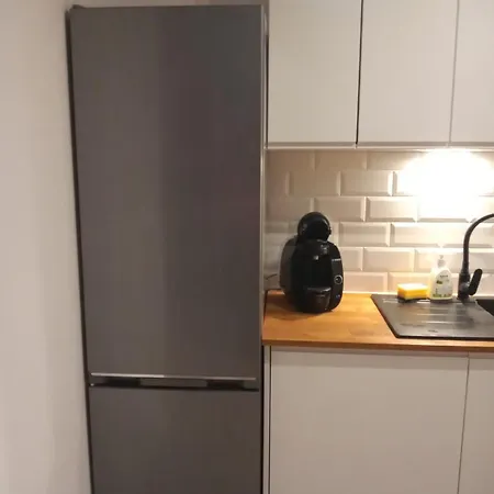 Lägenhet W Starym Mlynie Loft Rozanka